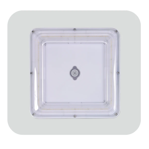 Led Can Fixtures